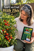 Bucket Tomato Growing Guide: Grow 20Lbs of Juicy Tomatoes Anywhere