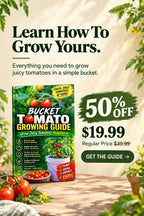 Bucket Tomato Growing Guide: Grow 20Lbs of Juicy Tomatoes Anywhere